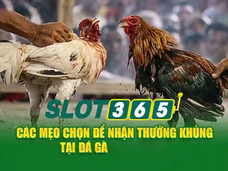 slot365 tải – Chủ đề và giá trị cốt lõi