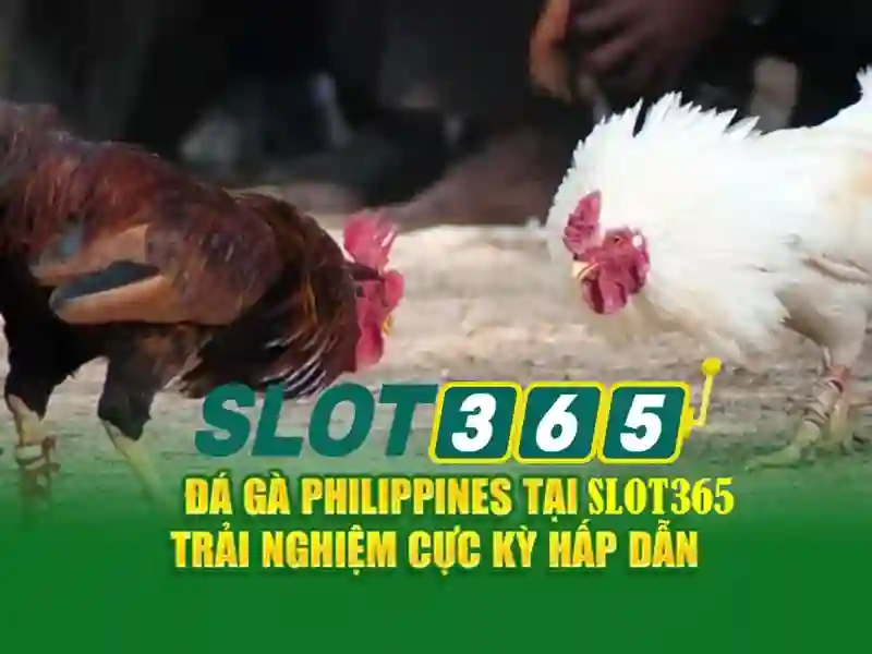 Slot365: Tổng quan về nền tảng trò chơi trực tuyến 1 Đăng Nhập