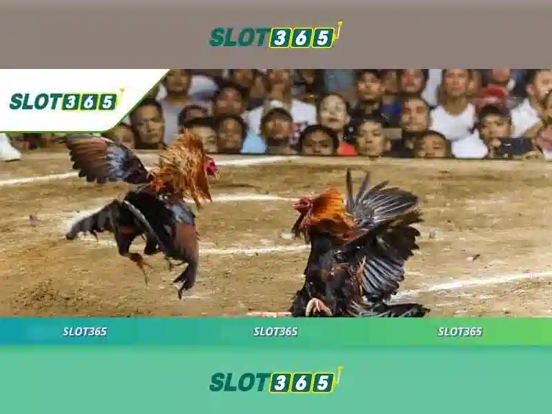 Slot365 có lừa đảo không? Đánh giá và trải nghiệm Slot365 Go88