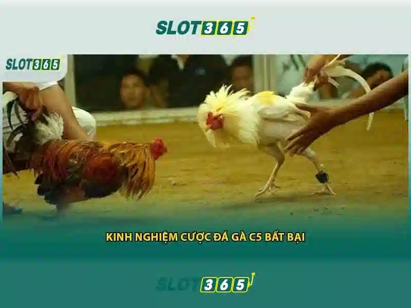 Các trò chơi tại Slot365