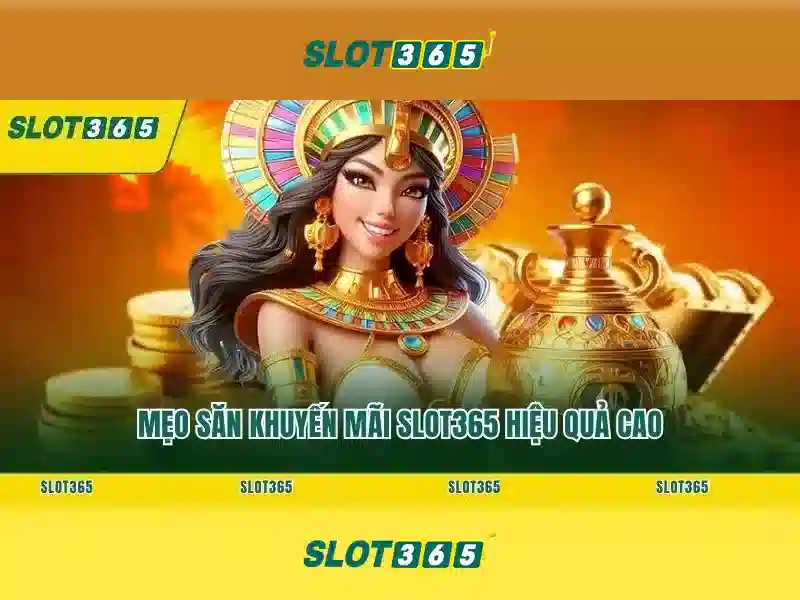 Trải nghiệm người chơi Trải nghiệm người chơi