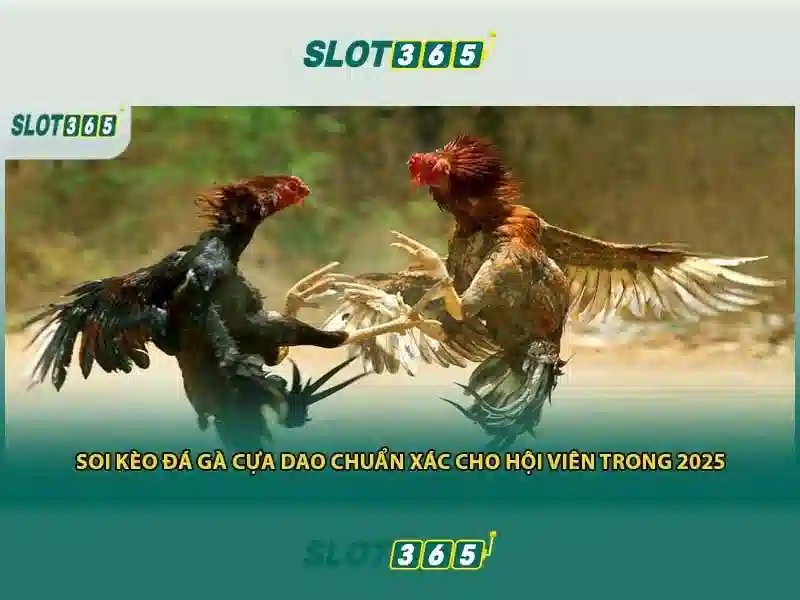 đăng ký Slot365: Trải nghiệm, ưu đãi và đánh giá Go88