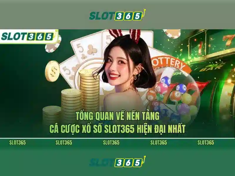 Cải tiến và trải nghiệm người dùng