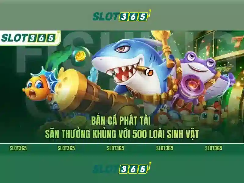 Hỗ trợ khách hàng và trải nghiệm di động