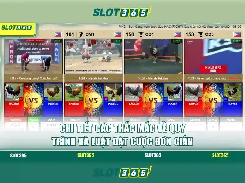 Trải nghiệm quay thưởng tại Slot365 mang lại sự hồi hộp