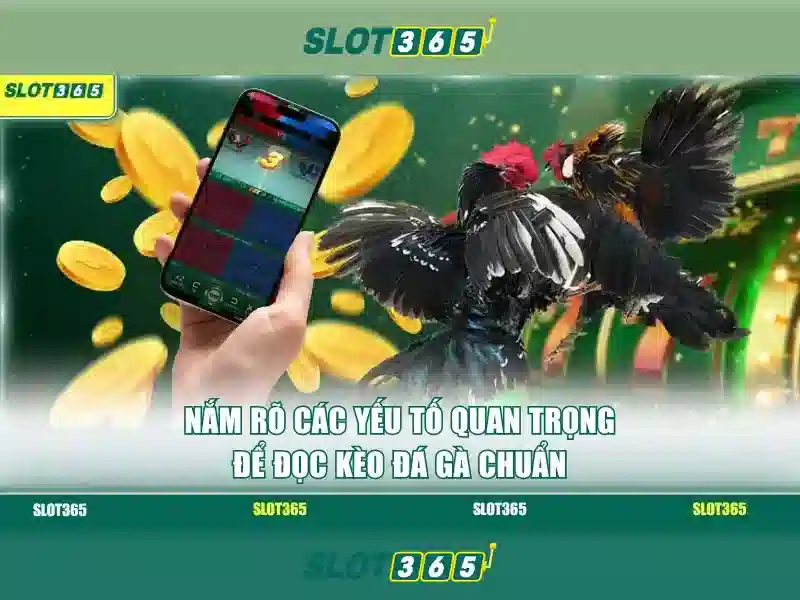 Chính sách thanh toán an toàn và nhanh chóng