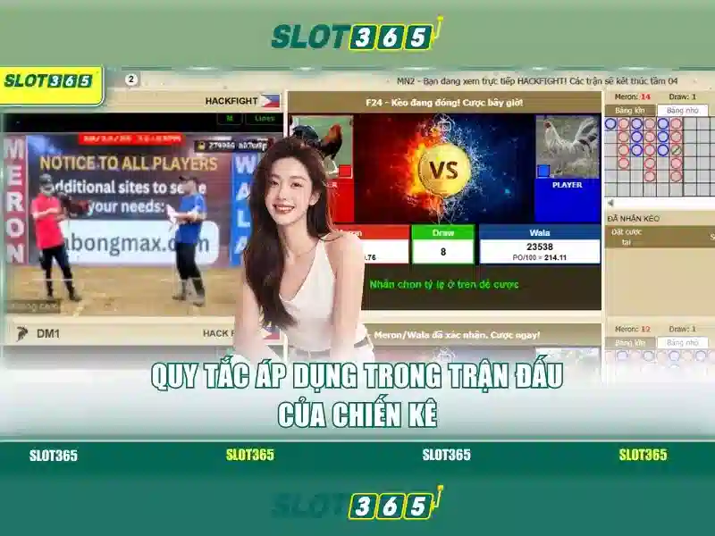 Giao diện người dùng và trải nghiệm di động