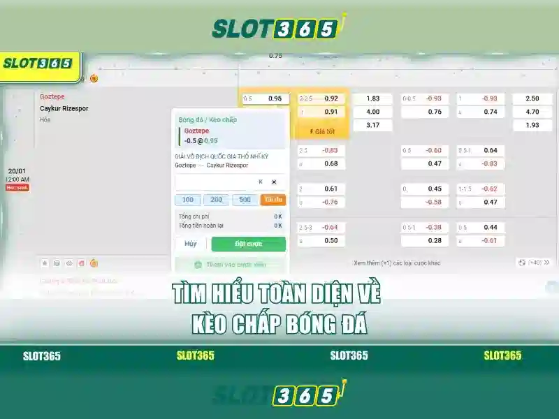 <!--IMG_PLACEHOLDER alt>Trải nghiệm người dùng và phản hồi cộng đồng-->