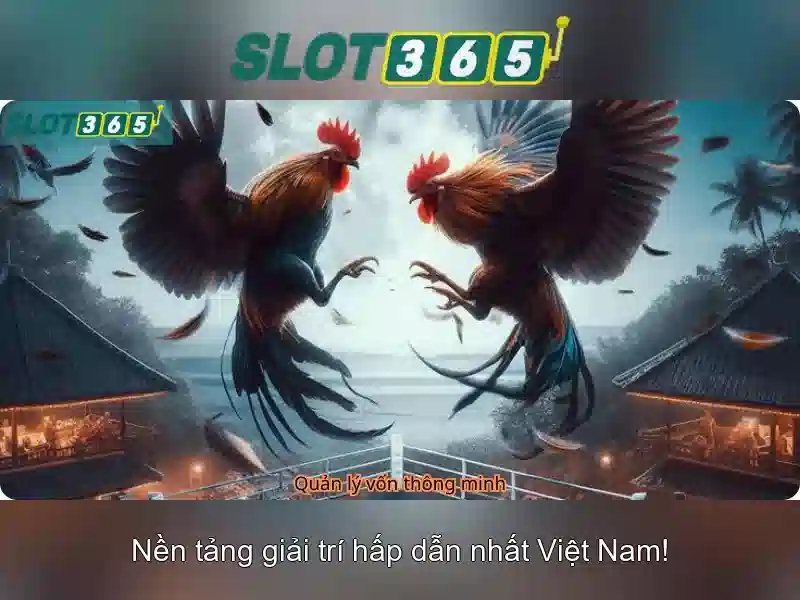 Các trò chơi và nhà cung cấp