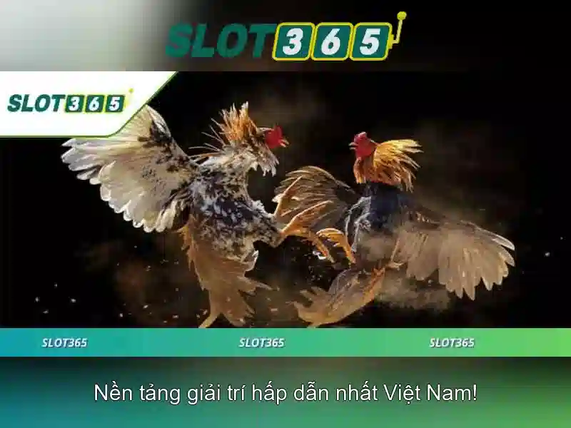 Tính năng và an toàn
