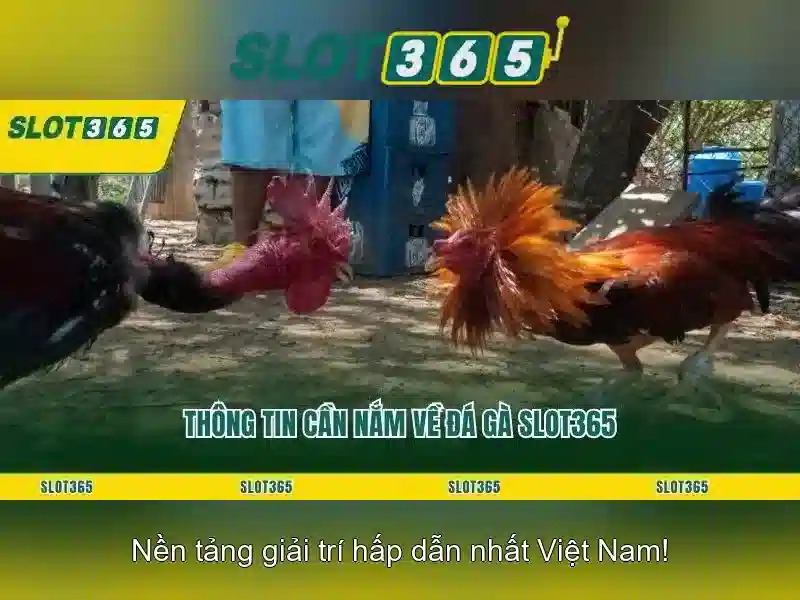 Trò chơi xèng phổ biến