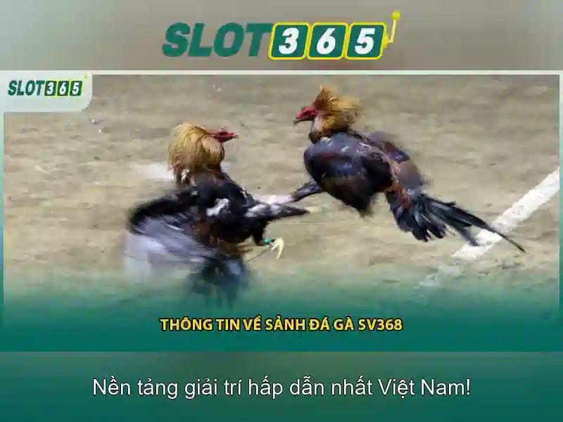 Slot365 – Nền tảng casino trực tuyến 1 Đăng Nhập