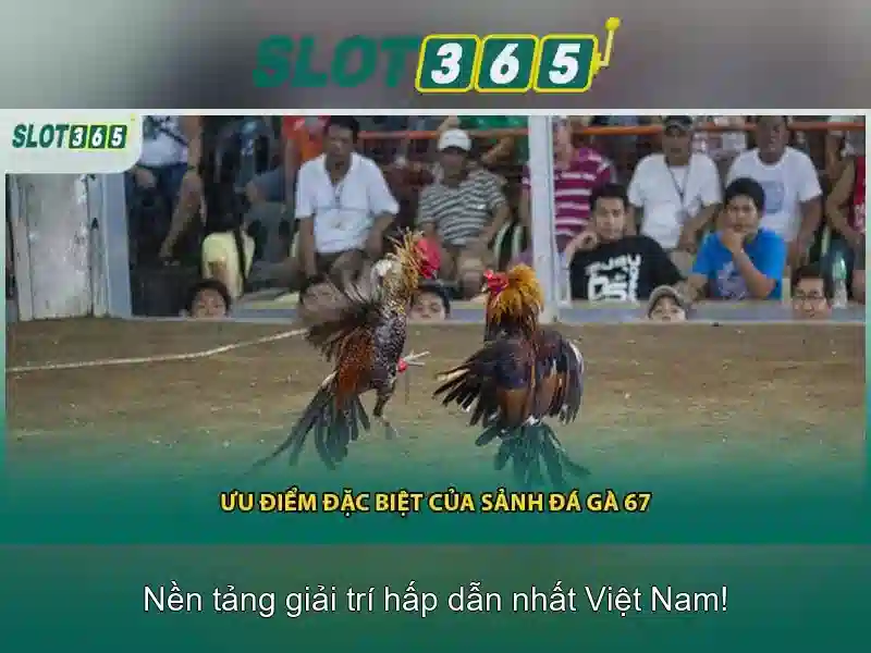 Đăng Nhập