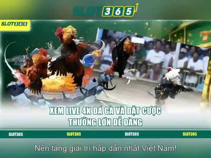 Đăng Nhập