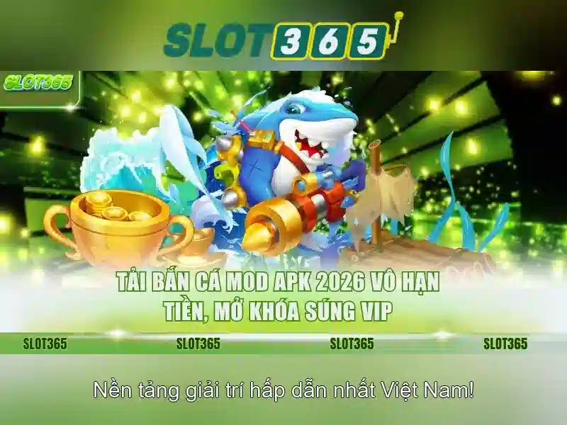 Đặc điểm và giao diện