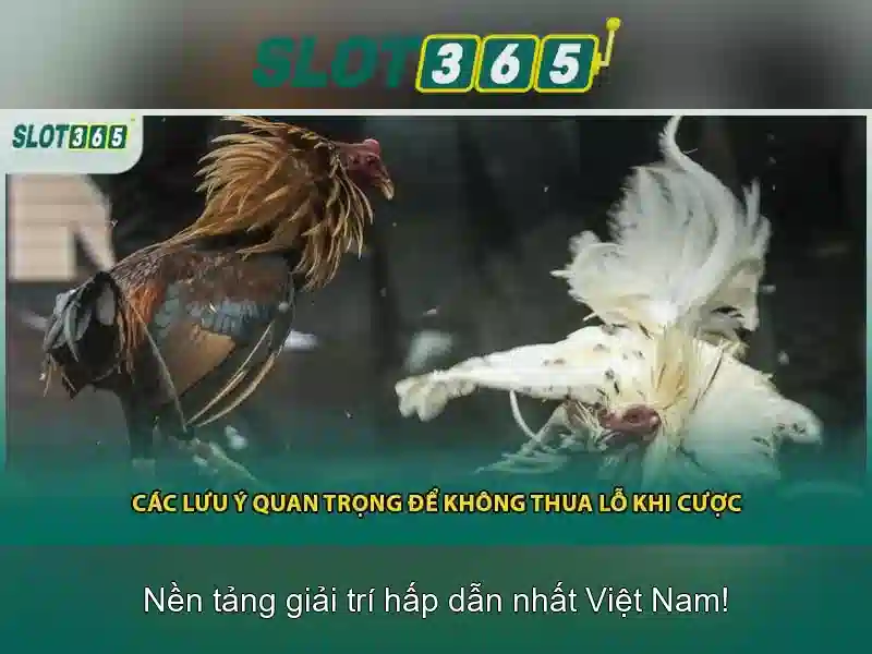 Khuyến mãi và bảo mật