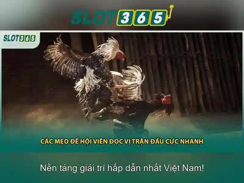 Tính năng nổi bật của Slot365