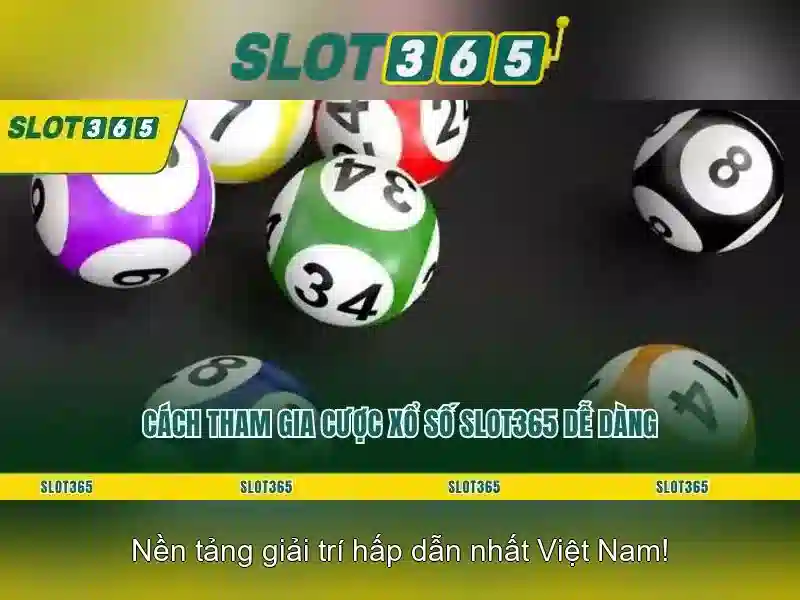 Khuyến mãi và hỗ trợ khách hàng