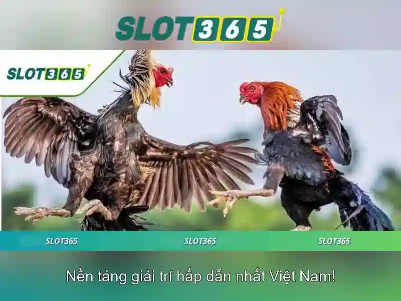 Đăng Nhập