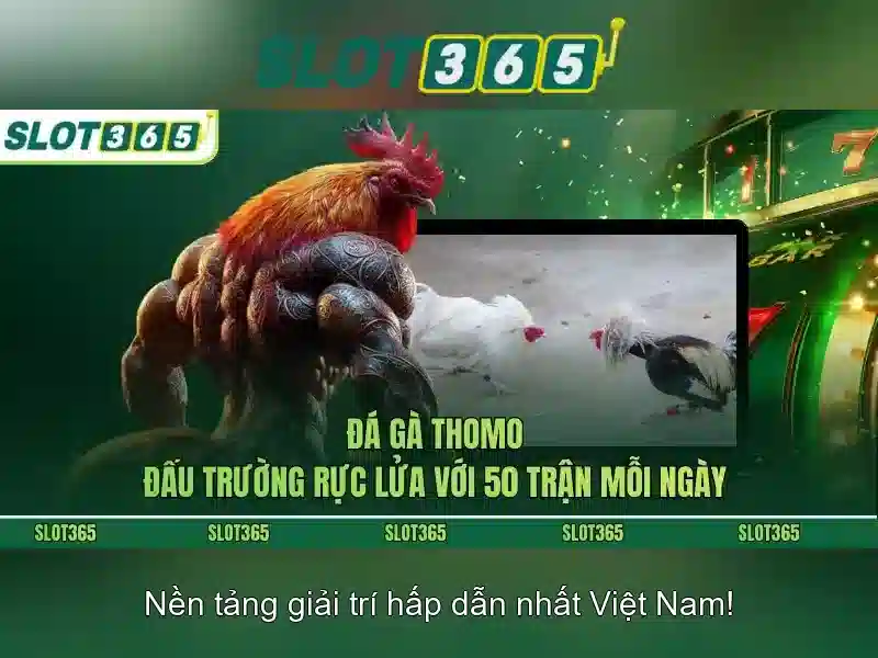 Trải nghiệm người dùng và phản hồi từ cộng đồng