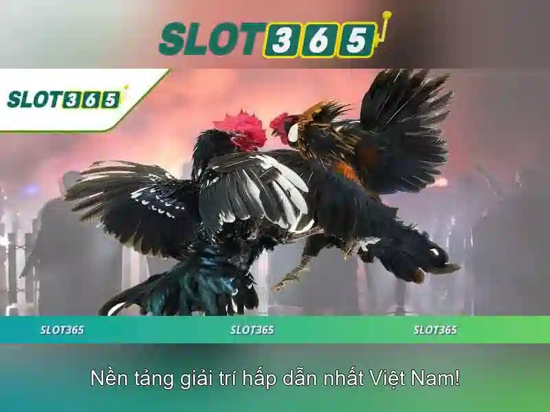 Định danh Slot365 và danh sách trò chơi