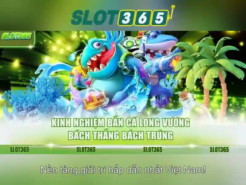 Trải nghiệm người dùng và phản hồi từ cộng đồng