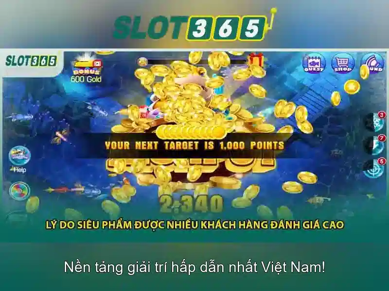 Trải nghiệm người dùng và giao diện