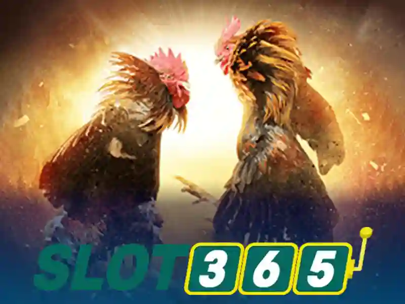 Đặc điểm nổi bật của Slot365 Đặc điểm nổi bật của Slot365