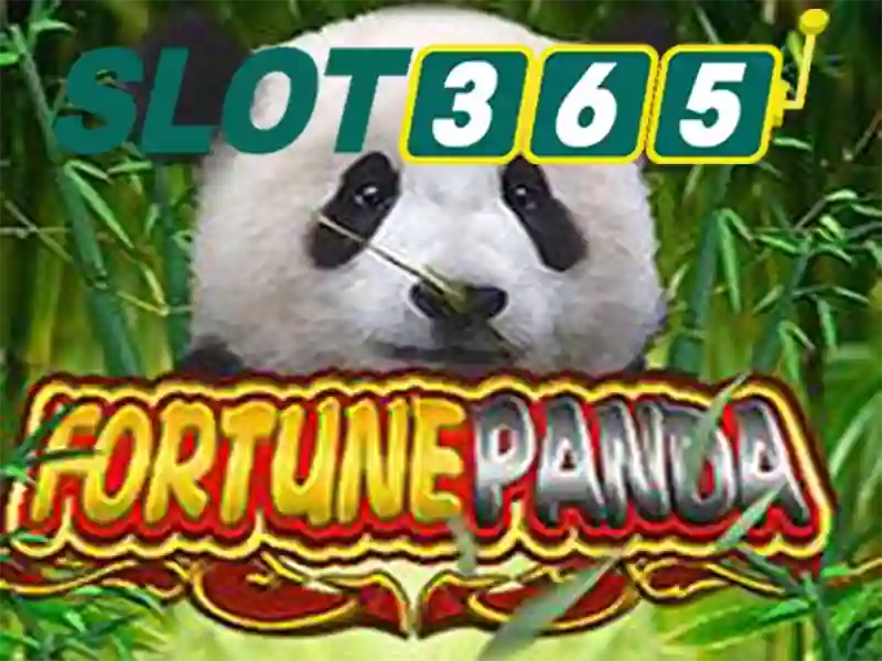 slot365 tại – Tổng quan, sản phẩm và hướng tới tương lai Go88
